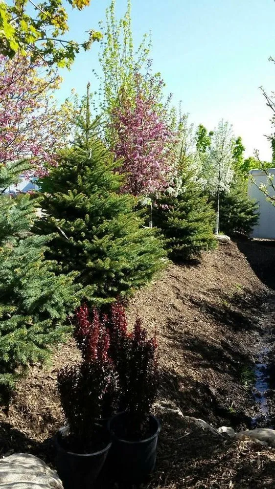 Reliable landscape installation experts serving Fond Du Lac, WI - Busy Acres Nursery Sales & Transplanting