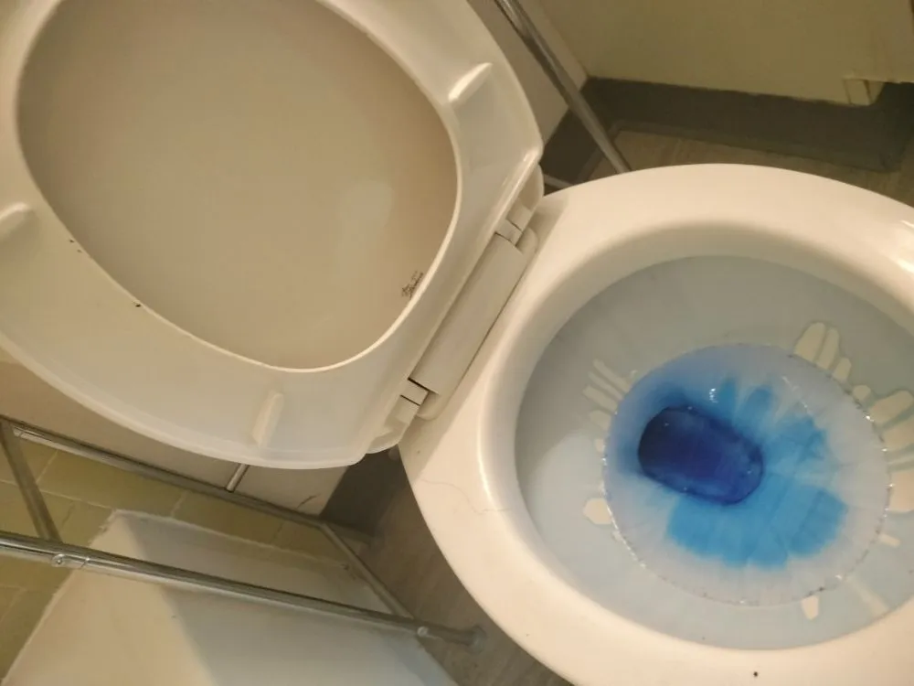 Affordable yard cleanup service for residential properties across Fort Collins, CO - Busy B Company