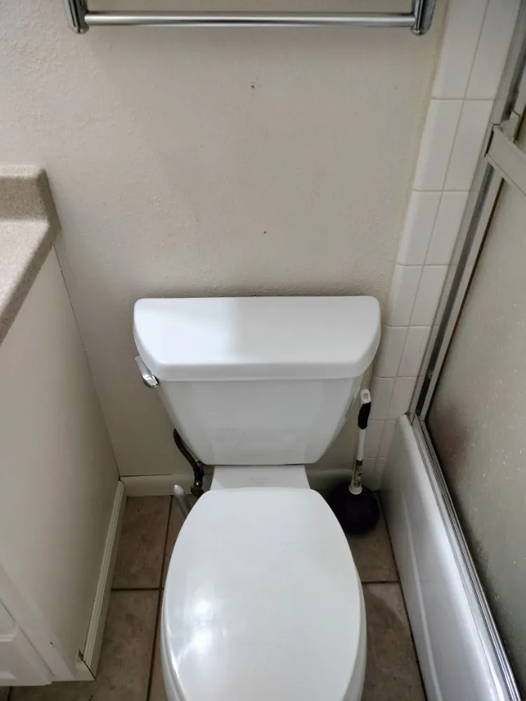 Reliable landscape installation experts serving Fort Collins, CO - Busy B Company