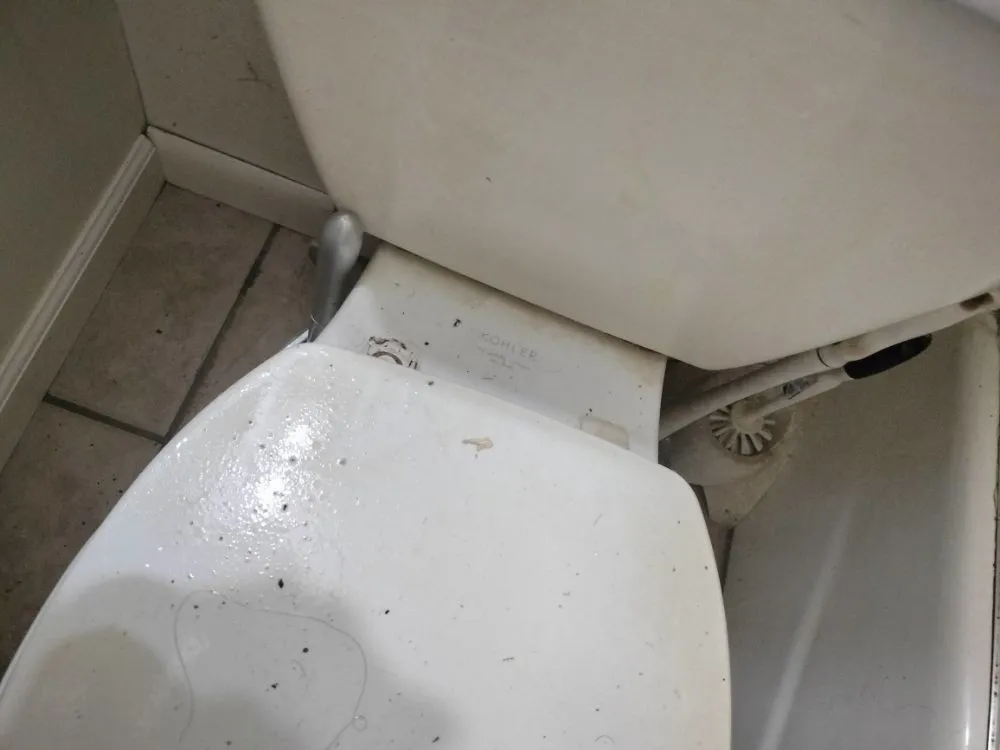 Expert garden landscaping for homes in Fort Collins, CO by Busy B Company