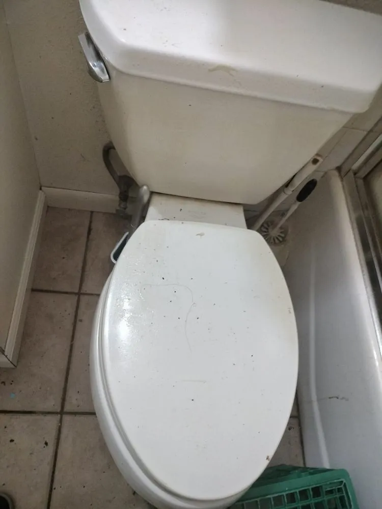 Reliable landscape installation in Fort Collins, CO by Busy B Company