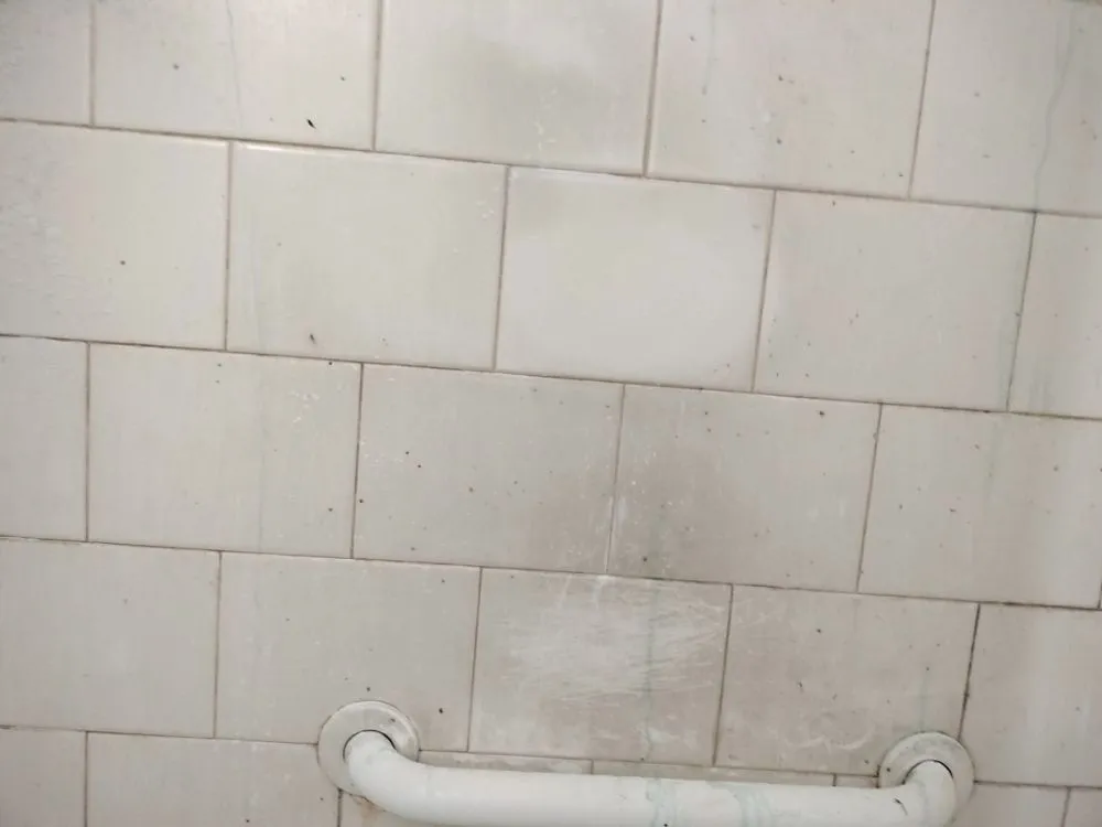 Professional lawn mowing service in Fort Collins, CO by Busy B Company