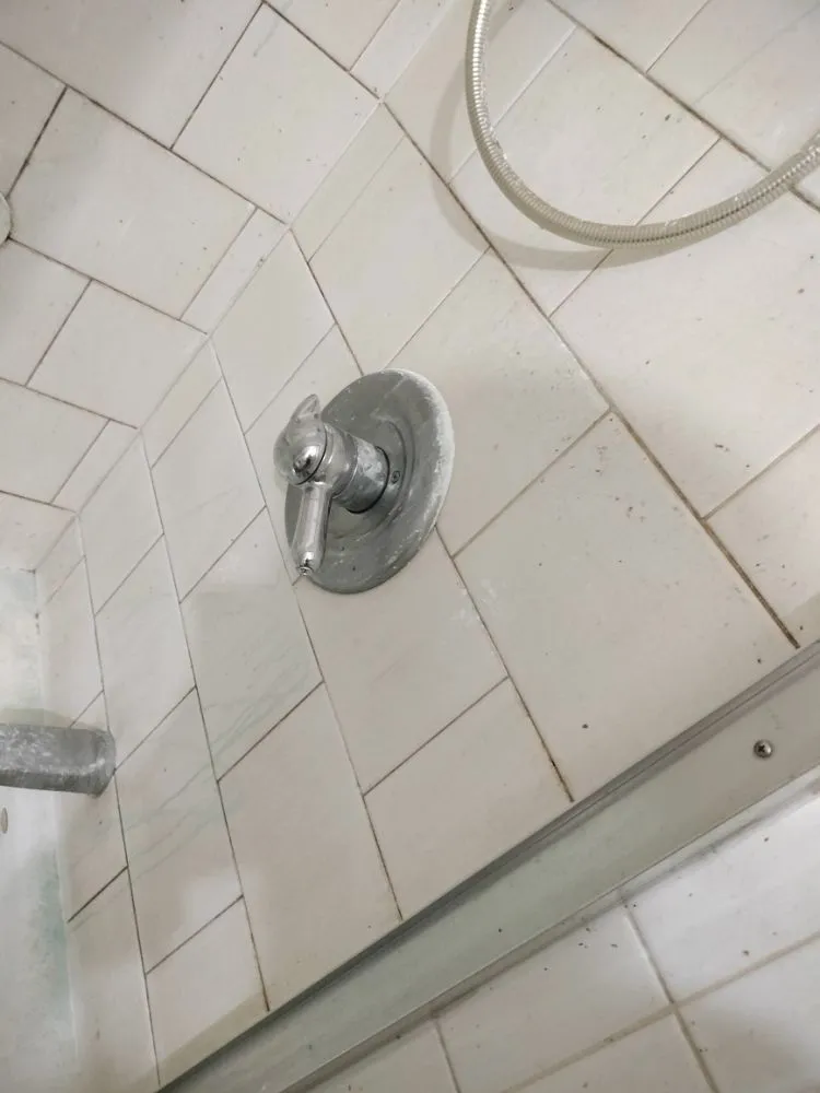 Professional yard maintenance in Fort Collins, CO - Busy B Company