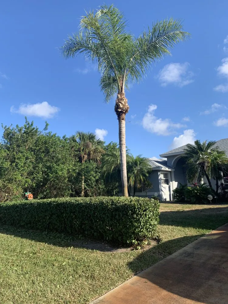 Professional landscaping services for outdoor upgrades in Vero Beach, FL by Busy B Lawn & Tree Services