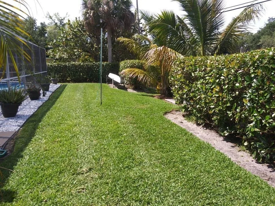 Expert landscape design in Vero Beach, FL - Busy B Lawn & Tree Services