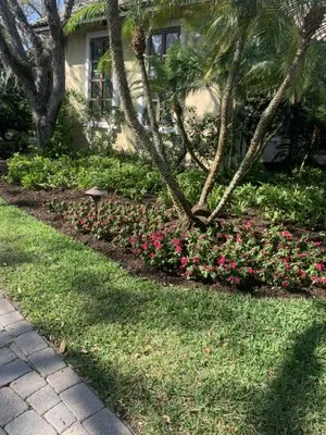 Busy B Lawn & Tree Services Logo