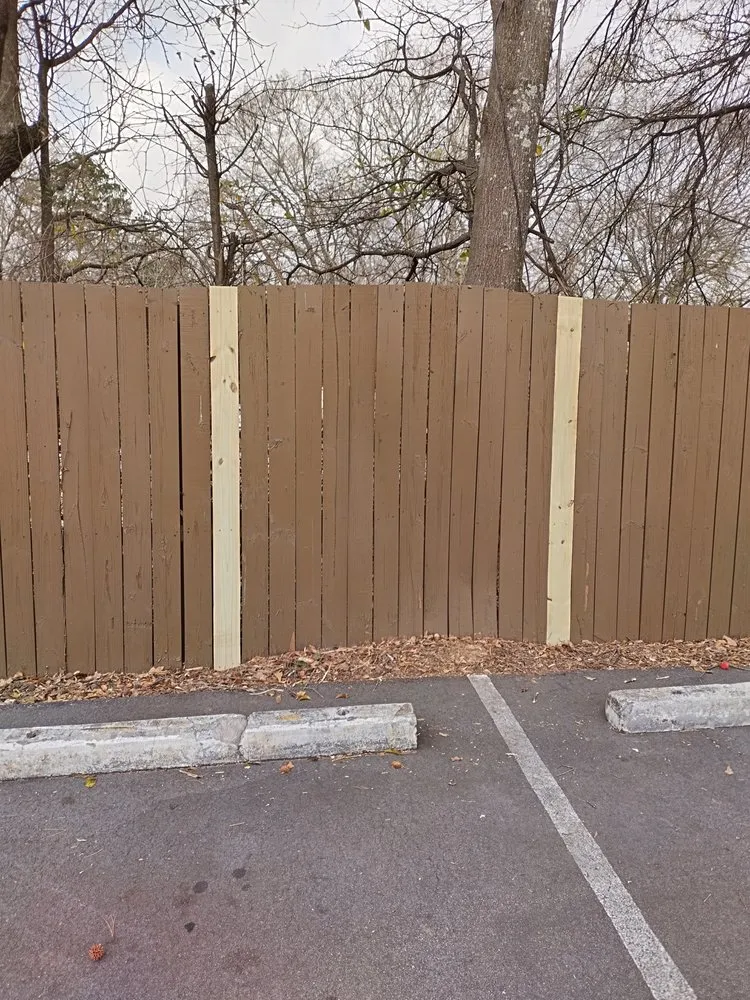 Expert yard cleanup service experts serving Stone Mountain, GA - Busy B