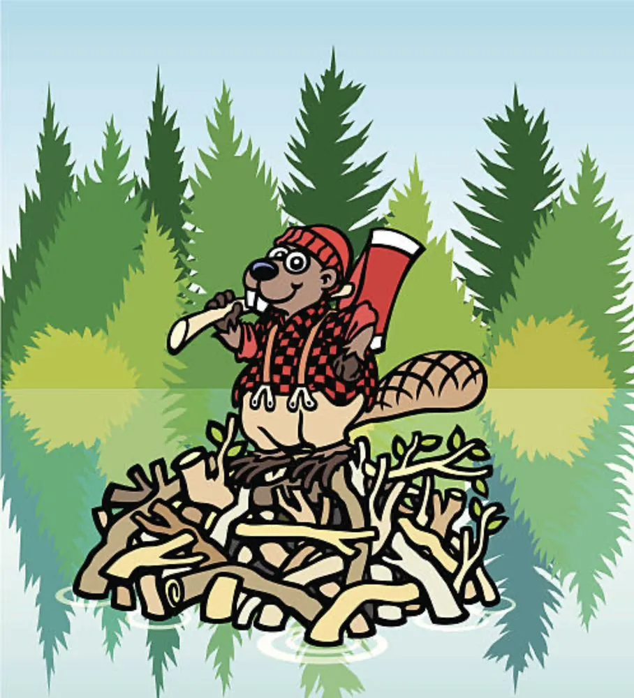 Local outdoor landscaping in Beaver Dam, KY - Busy beaver heavy brush removal and bush hogging