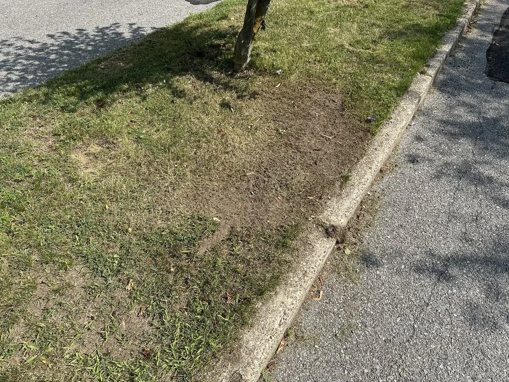 Affordable landscape installation in Cheektowaga, NY by Busy Beaver Lawn & Garden