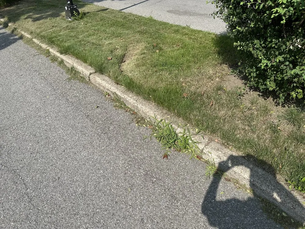 Custom lawn mowing service in Cheektowaga, NY by Busy Beaver Lawn & Garden