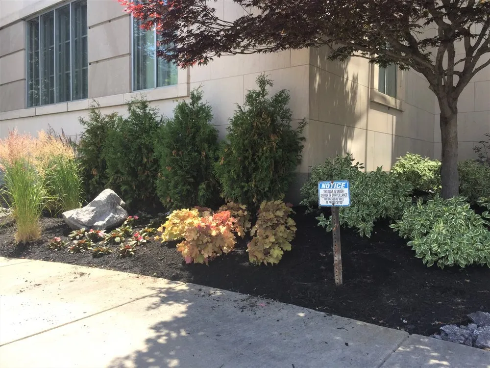 Trusted landscaping services in Cheektowaga, NY - Busy Beaver Lawn & Garden