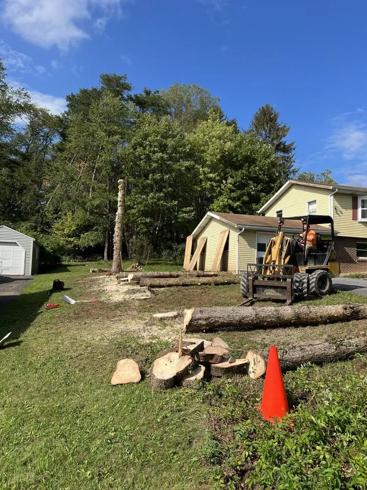Trusted outdoor landscaping in Lock Haven, PA - Busy Beavers