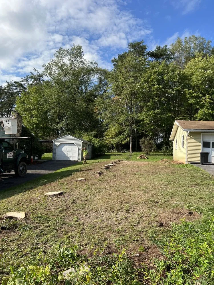 Trusted lawn mowing service in Lock Haven, PA by Busy Beavers