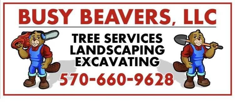Expert lawn mowing service in Lock Haven, PA - Busy Beavers
