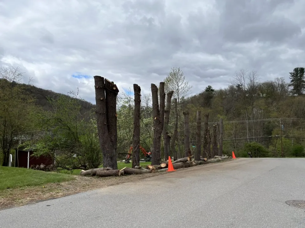 Custom landscaping services experts serving Lock Haven, PA - Busy Beavers