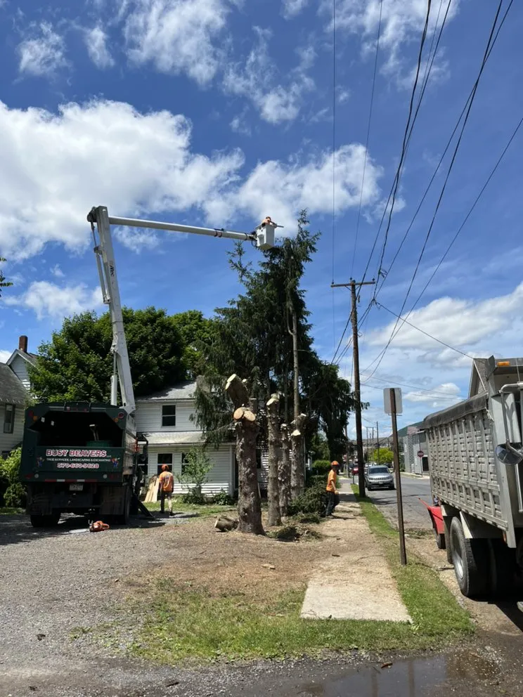 Affordable residential landscaping in Lock Haven, PA by Busy Beavers