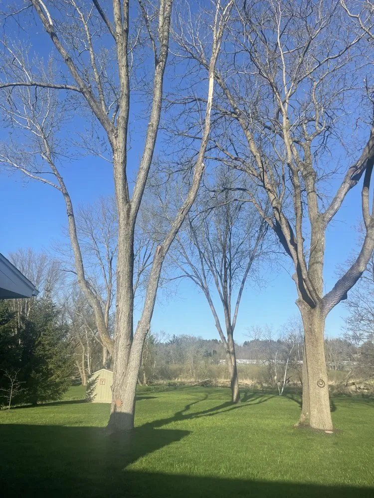 Trusted lawn care service in Johnsburg, IL - Busy Beavers Tree Service & More