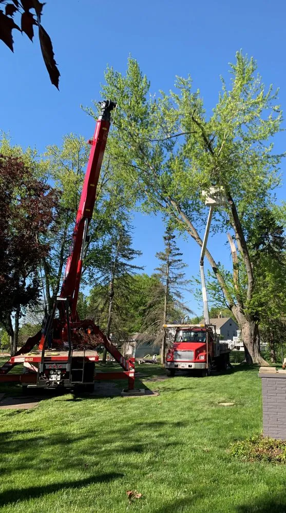 Professional yard maintenance in Johnsburg, IL - Busy Beavers Tree Service & More