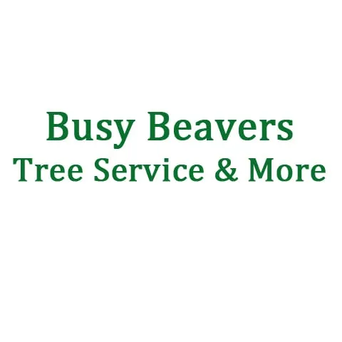Trusted yard cleanup service for outdoor upgrades across Johnsburg, IL - Busy Beavers Tree Service & More