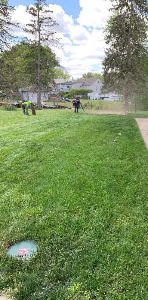 Professional outdoor landscaping experts serving Johnsburg, IL - Busy Beavers Tree Service & More