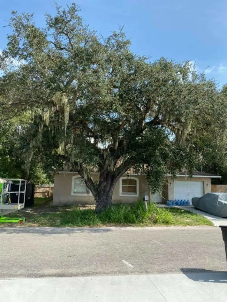 Affordable residential landscaping for beautiful yards across Bradenton, FL - Busy Bee