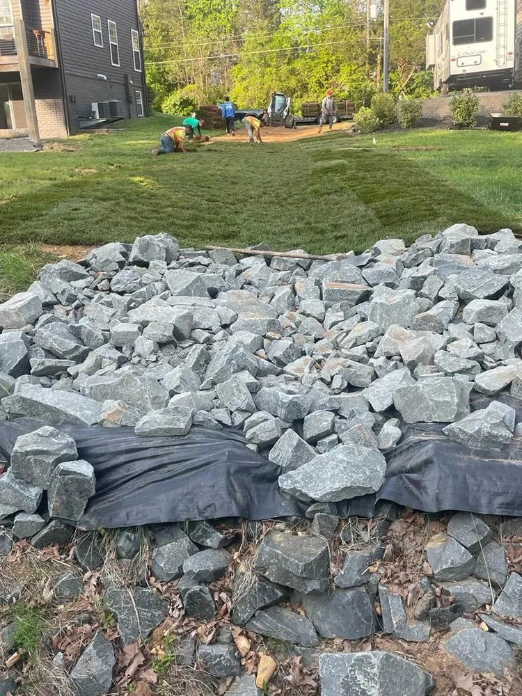 Trusted lawn care service experts serving Sterling, VA - Busy Bee Construction