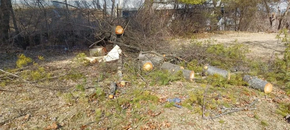 Top-rated lawn mowing service near you across Sterling, VA - Busy Bee Construction