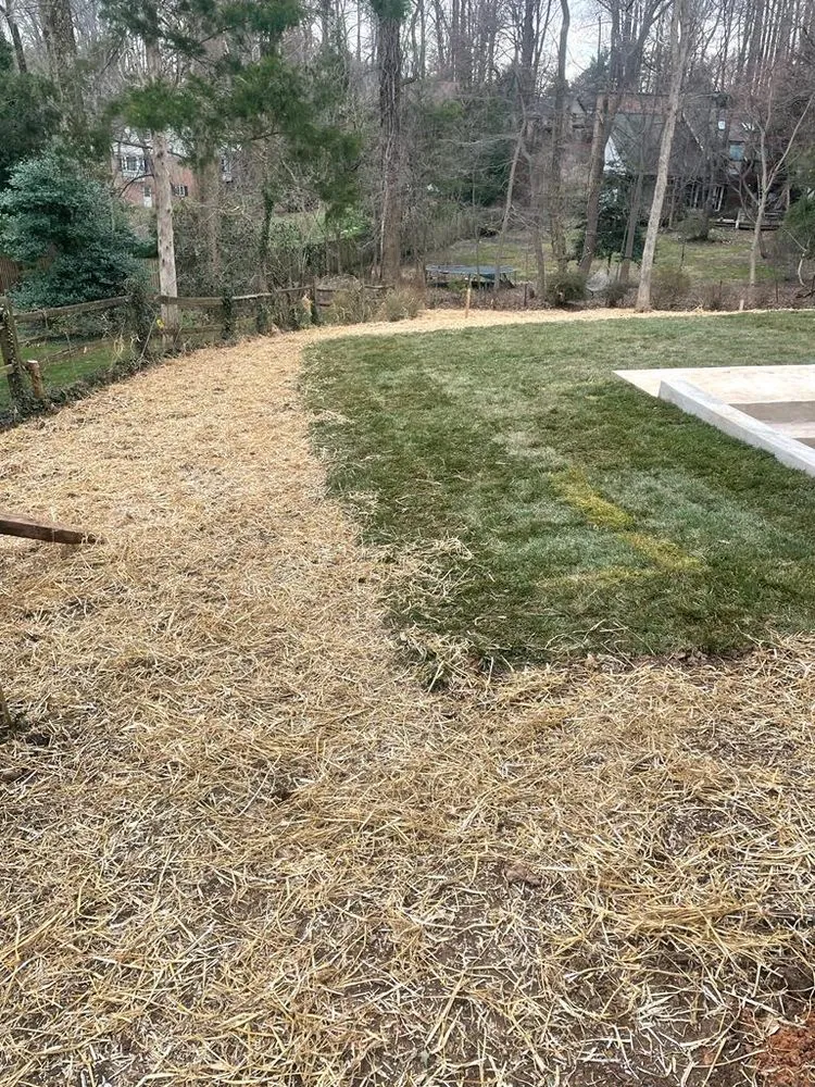 Professional lawn mowing service in Sterling, VA by Busy Bee Construction