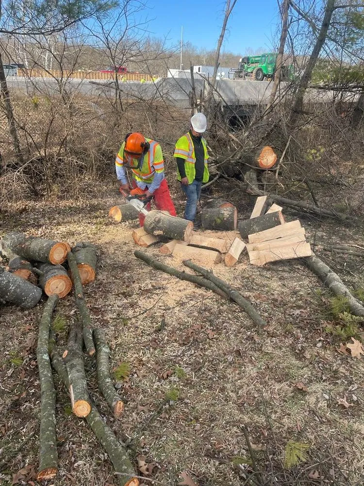 Custom landscape design for homes across Sterling, VA - Busy Bee Construction