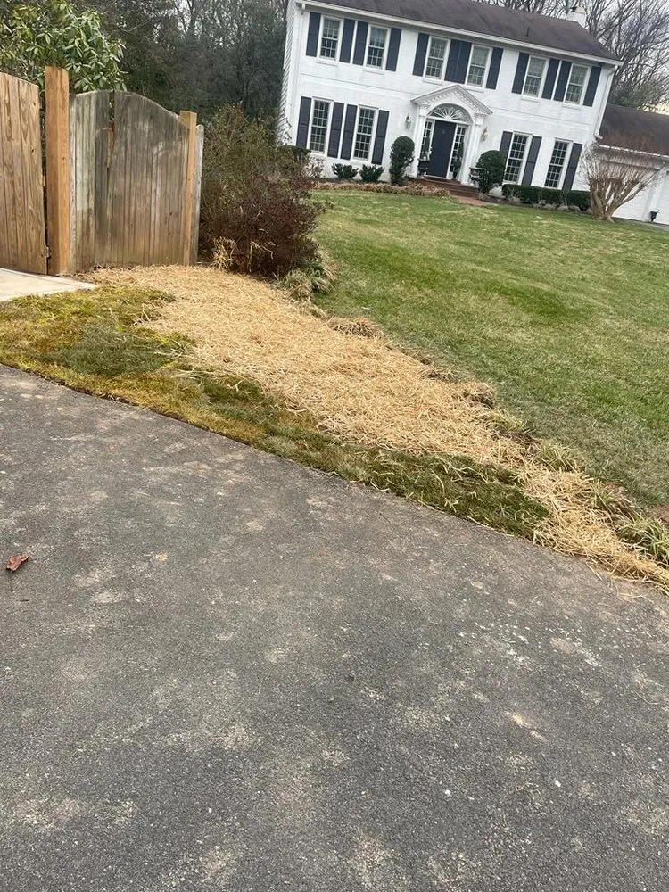 Professional landscape design for beautiful yards across Sterling, VA - Busy Bee Construction