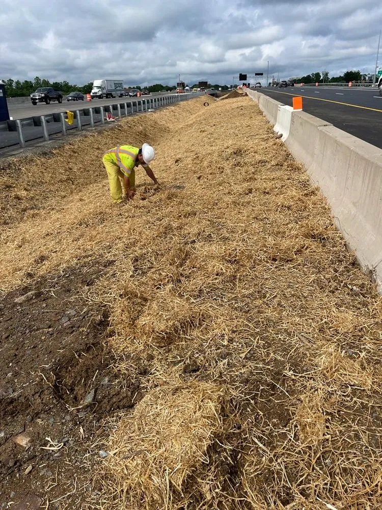 Top-rated lawn mowing service experts serving Sterling, VA - Busy Bee Construction