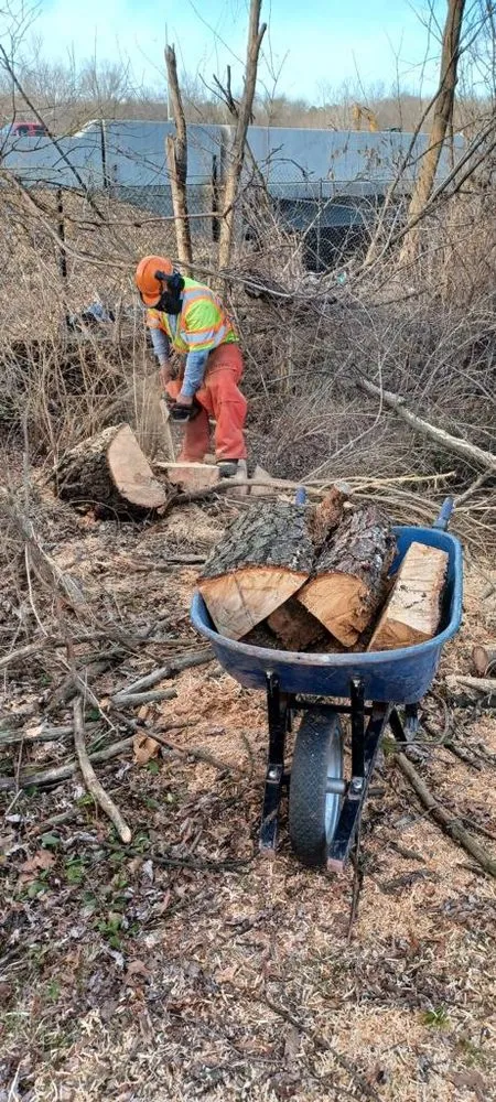 Custom landscaping services for year-round maintenance across Sterling, VA - Busy Bee Construction