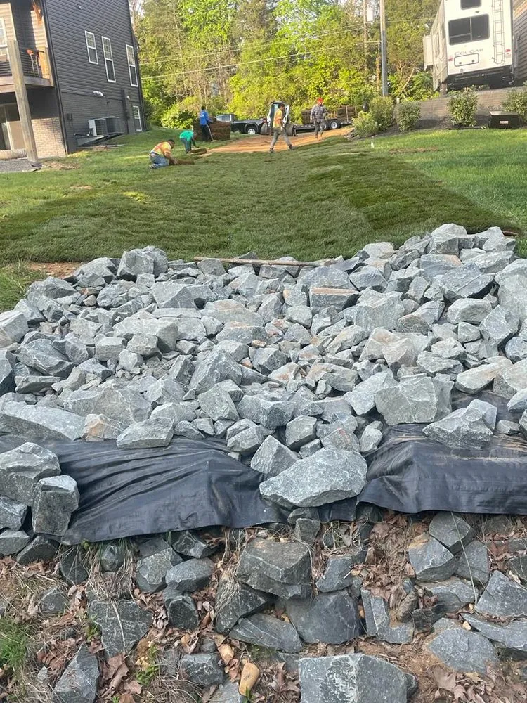 Top-rated lawn care service in Sterling, VA - Busy Bee Construction