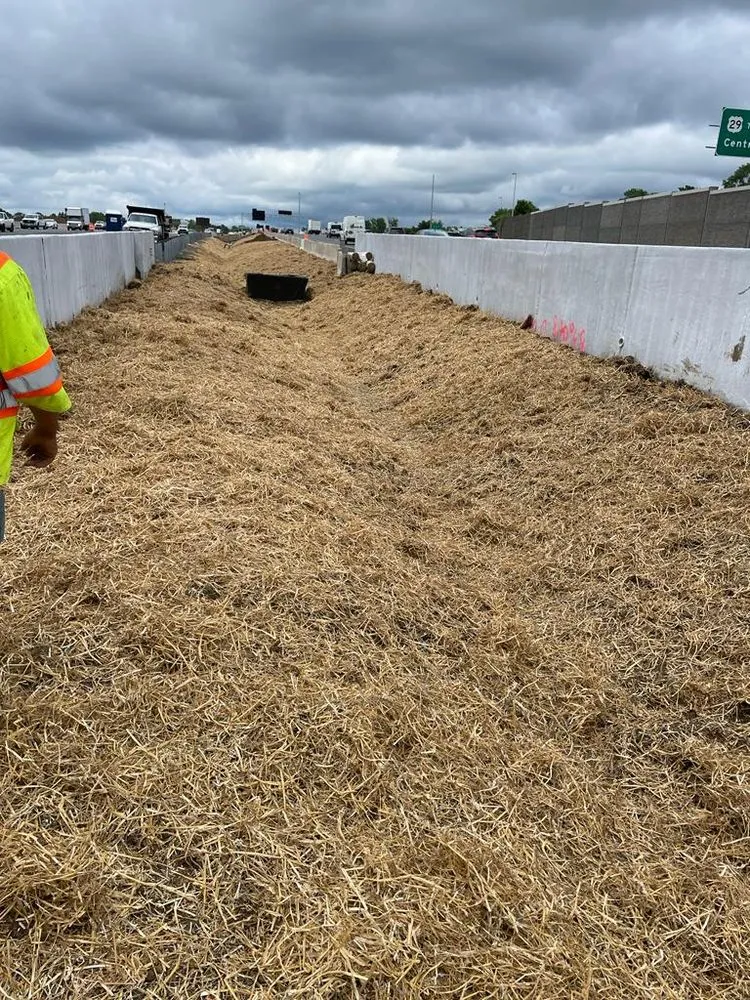 Trusted landscape design in Sterling, VA - Busy Bee Construction