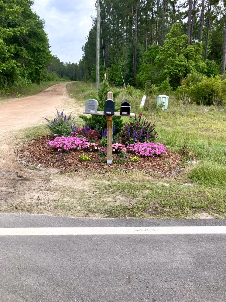 Top-rated outdoor landscaping experts serving Hilliard, FL - Busy Bee Garden And Landscape Services