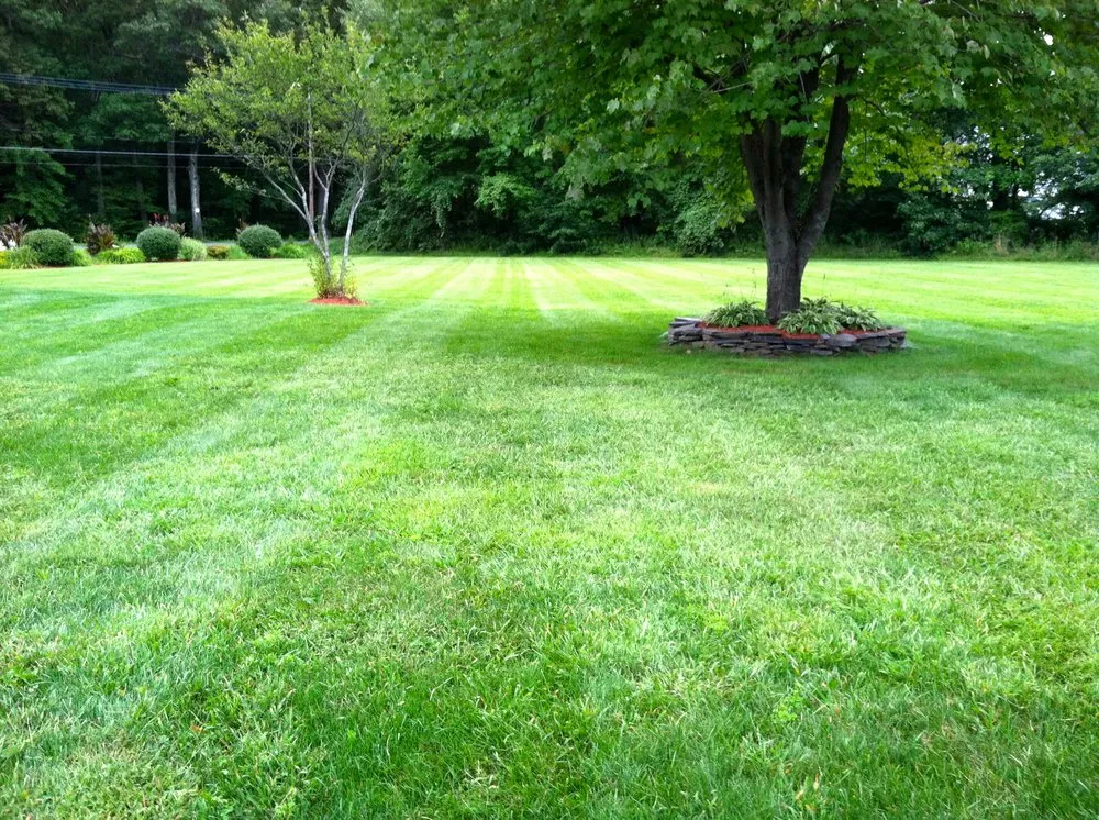 Top-rated yard maintenance in Amherst, MA by Busy Bee Landscaping