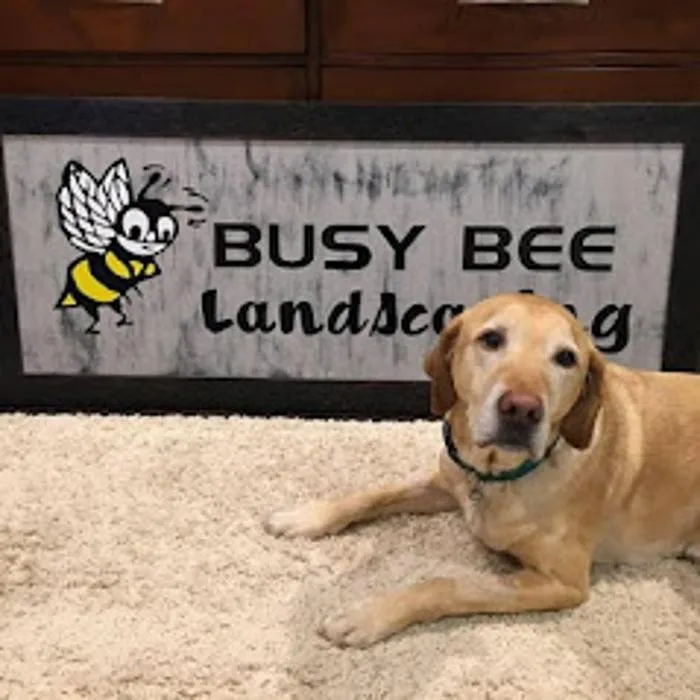 Custom yard cleanup service for homes across Goffstown, NH - Busy Bee Landscaping