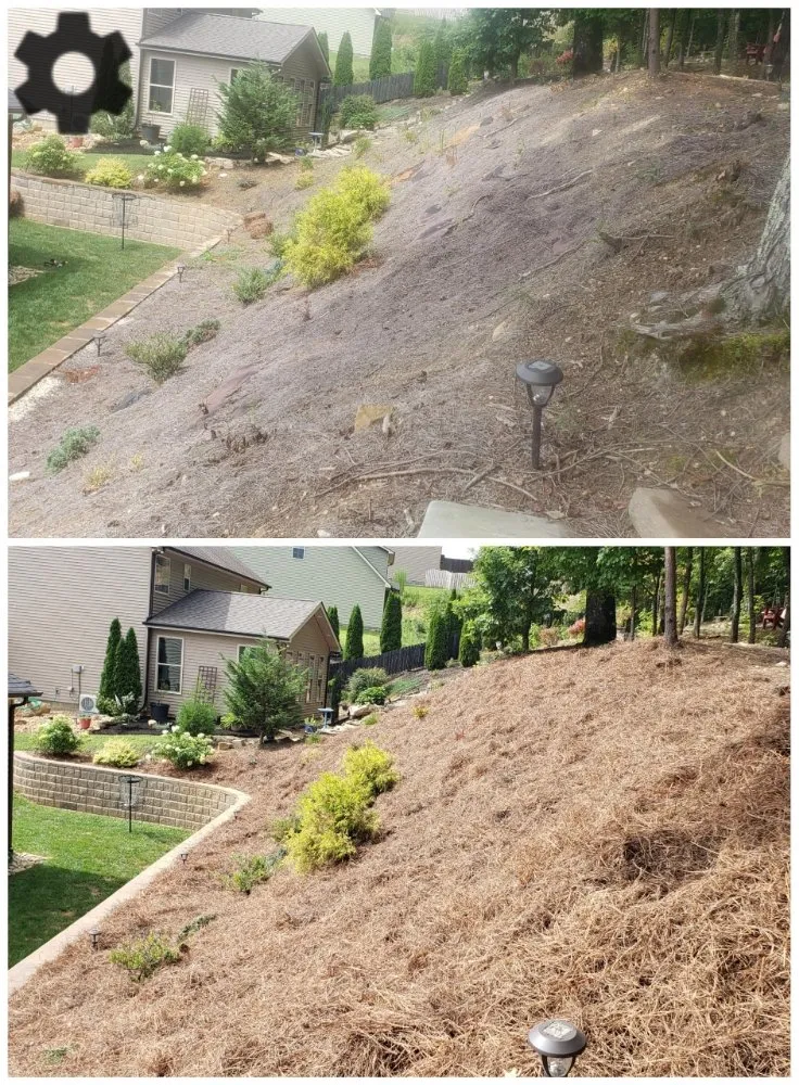 Top-rated yard cleanup service in Knoxville, TN - Busy Bee Landscaping