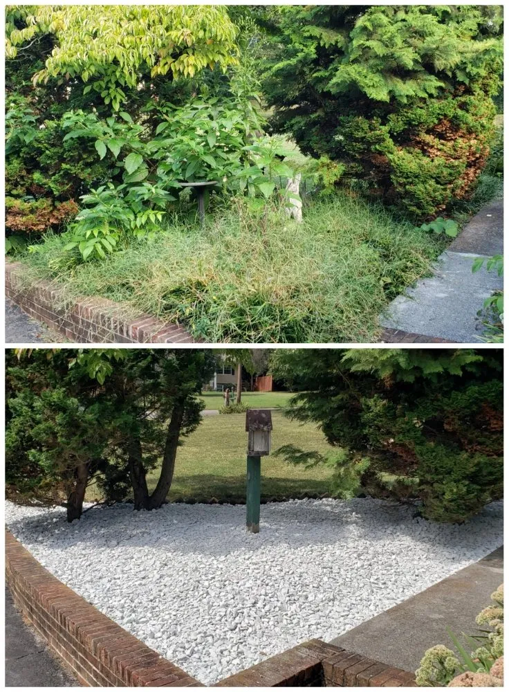 Trusted lawn mowing service in Knoxville, TN by Busy Bee Landscaping