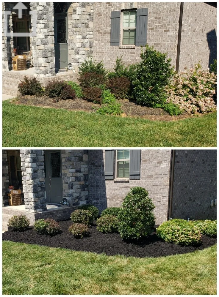 Affordable garden landscaping experts serving Knoxville, TN - Busy Bee Landscaping