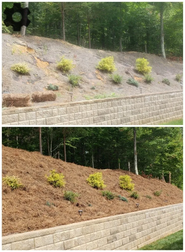 Top-rated outdoor landscaping with custom design across Knoxville, TN - Busy Bee Landscaping