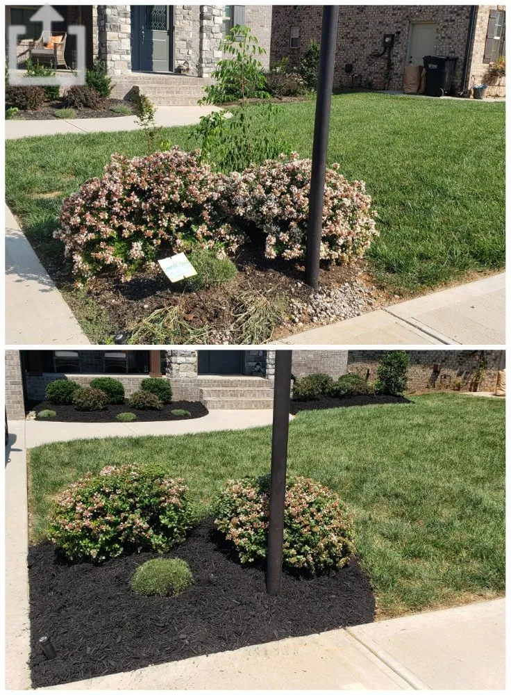 Reliable landscape design in Knoxville, TN by Busy Bee Landscaping