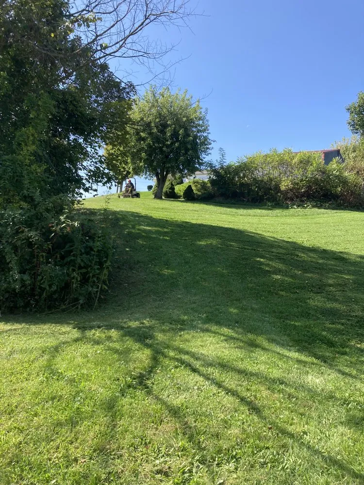 Top-rated yard cleanup service for year-round maintenance in Brownsville, PA by Busy Bee Lawn Care