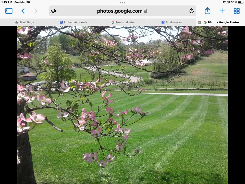 Reliable yard cleanup service for year-round maintenance in Brownsville, PA by Busy Bee Lawn Care