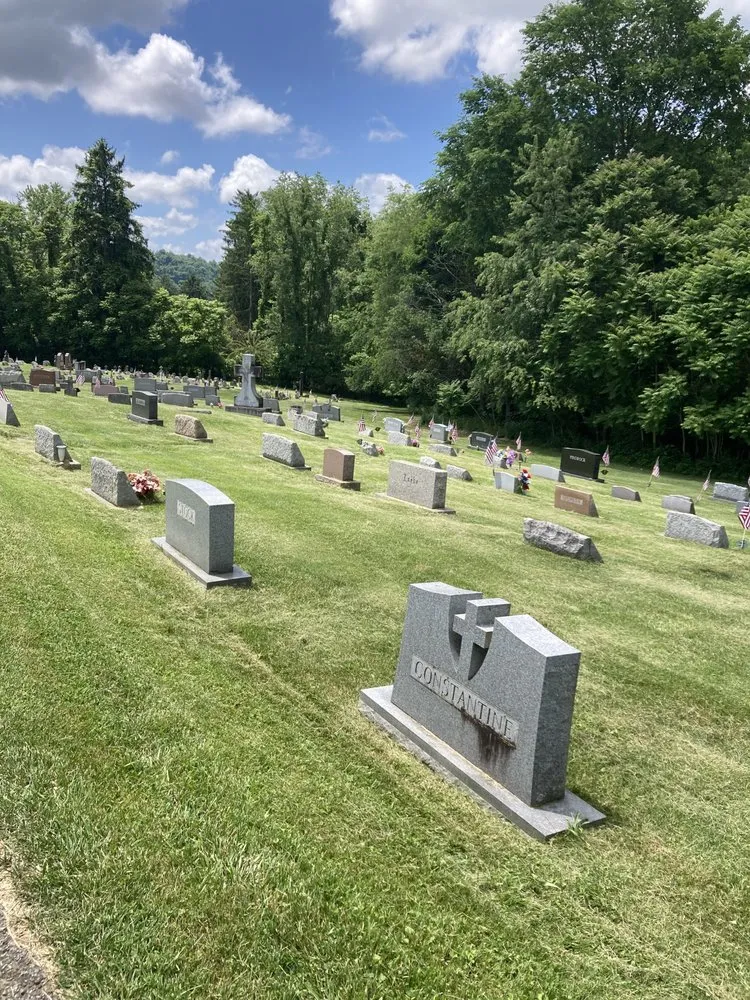 Expert landscaping services experts serving Brownsville, PA - Busy Bee Lawn Care