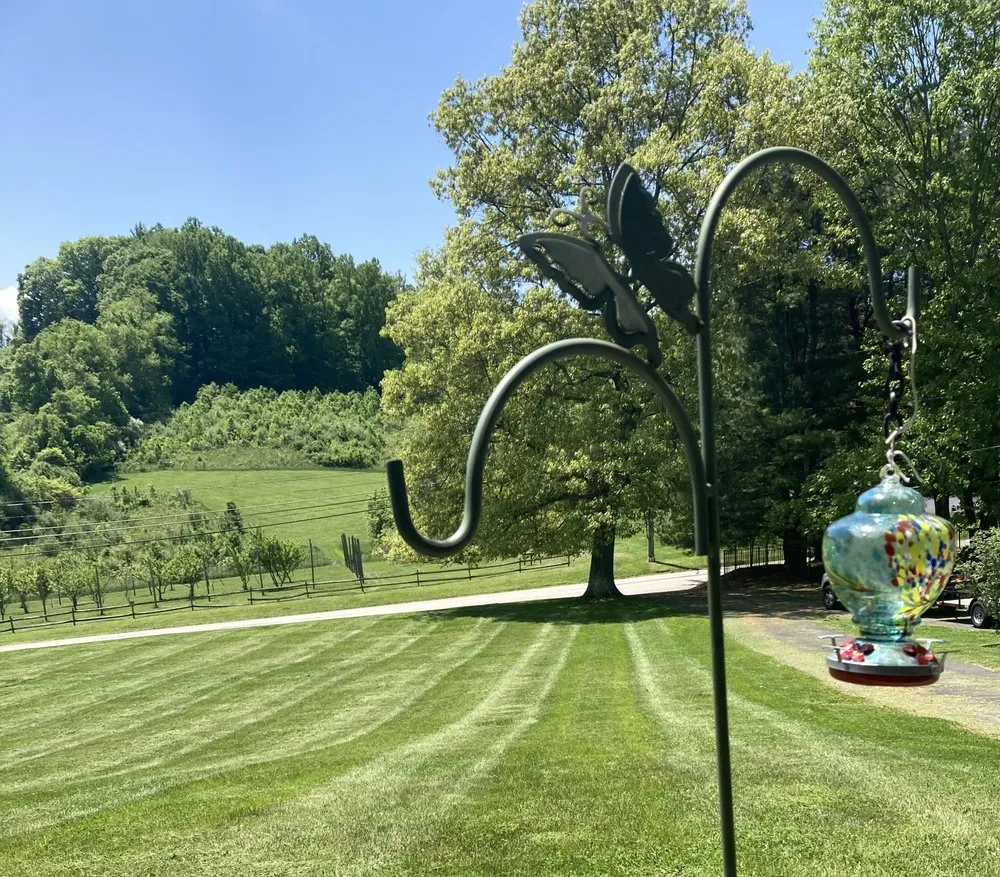 Local residential landscaping in Brownsville, PA - Busy Bee Lawn Care