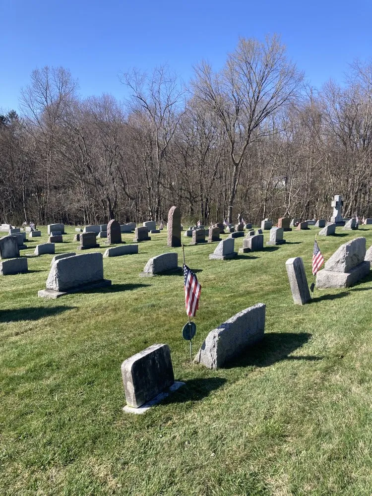 Professional lawn care service experts serving Brownsville, PA - Busy Bee Lawn Care