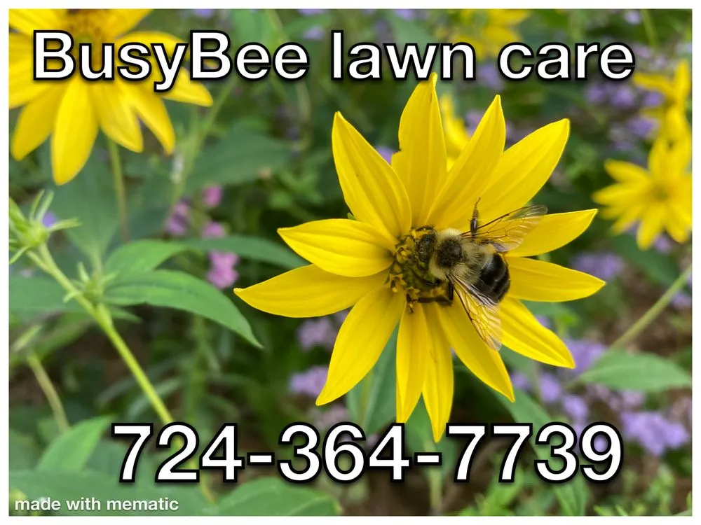 Professional lawn care service for residential properties across Brownsville, PA - Busy Bee Lawn Care