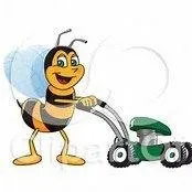 Expert outdoor landscaping near you in Brownsville, PA by Busy Bee Lawn Care