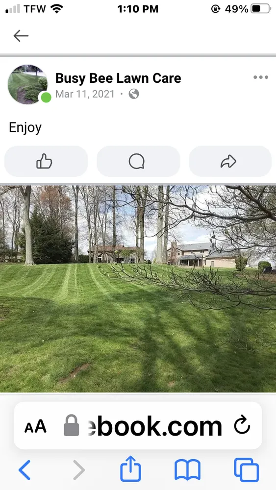 Affordable garden landscaping in Brownsville, PA by Busy Bee Lawn Care